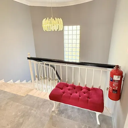 فيلة Kaan أورتاجا